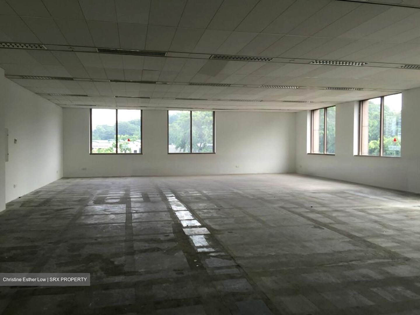 Starhub Centre (D9), Office #463365281